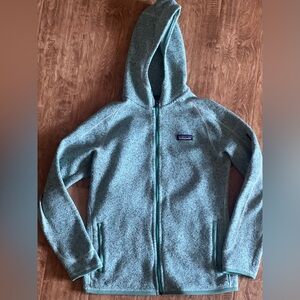 Patagonia Better Sweater Hoody
